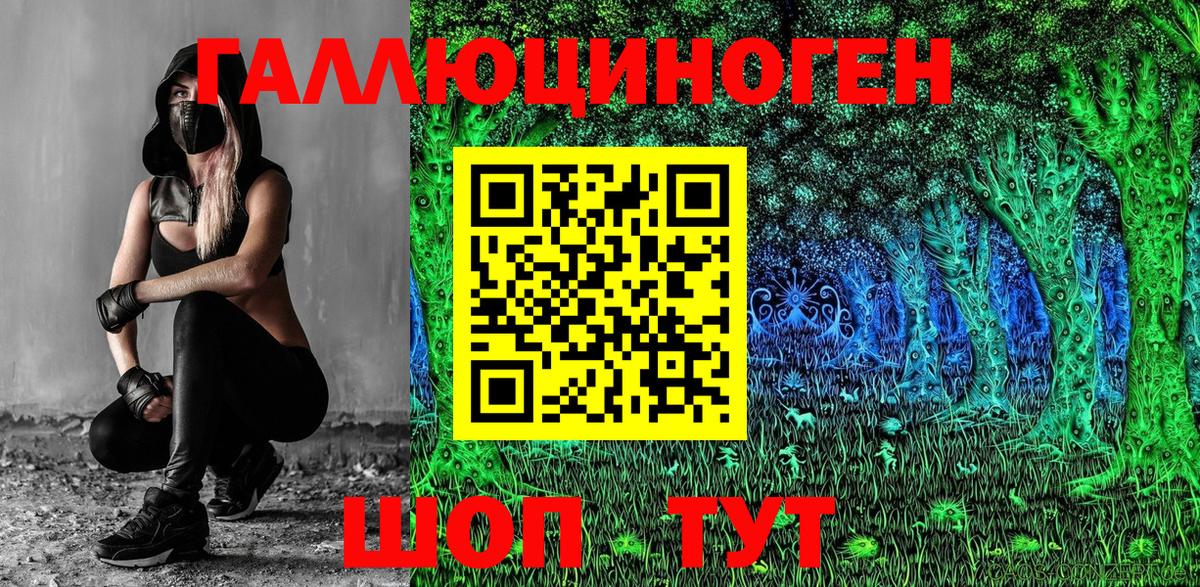 Галлюциногенные грибы Psilocybine cubensis Волжский