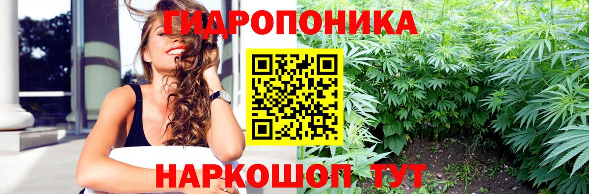Бошки Шишки Amnesia  Шишки марихуана OG Kush  Канабис гибрид  Шишки марихуана Bruce Banner  Вход с VPN  Волжский 